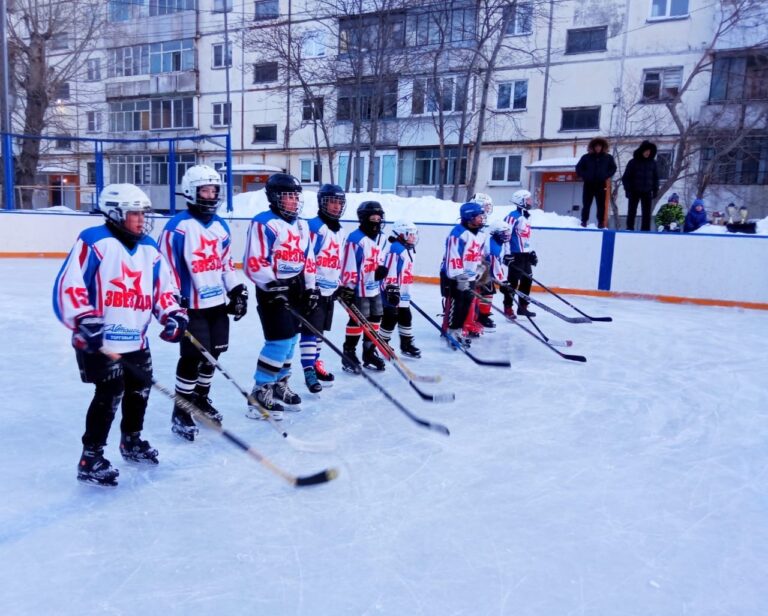 Read more about the article Завершился чемпионат по хоккею с шайбой